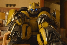 Bumblebee