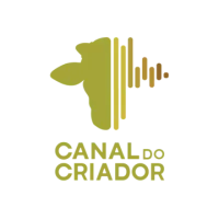 Canal do Criador