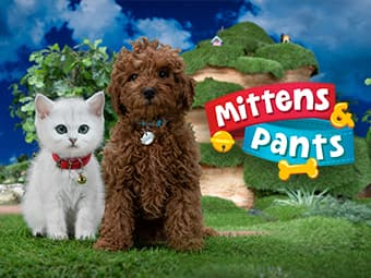 Mittens & Pants CC HD DV C - 2-08 - Game of Chicken