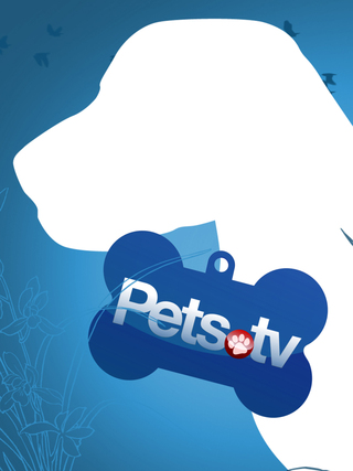 Pets.TV