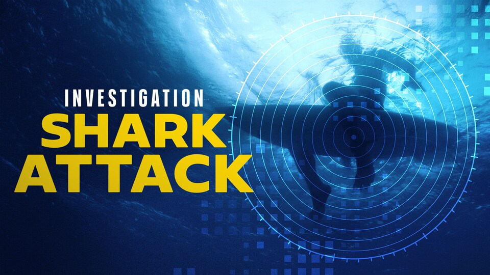 Investigation Shark Attack