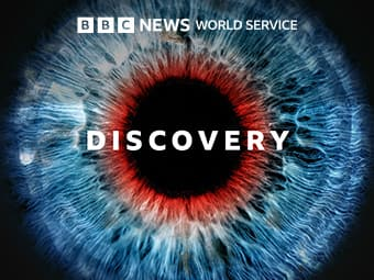 Discovery