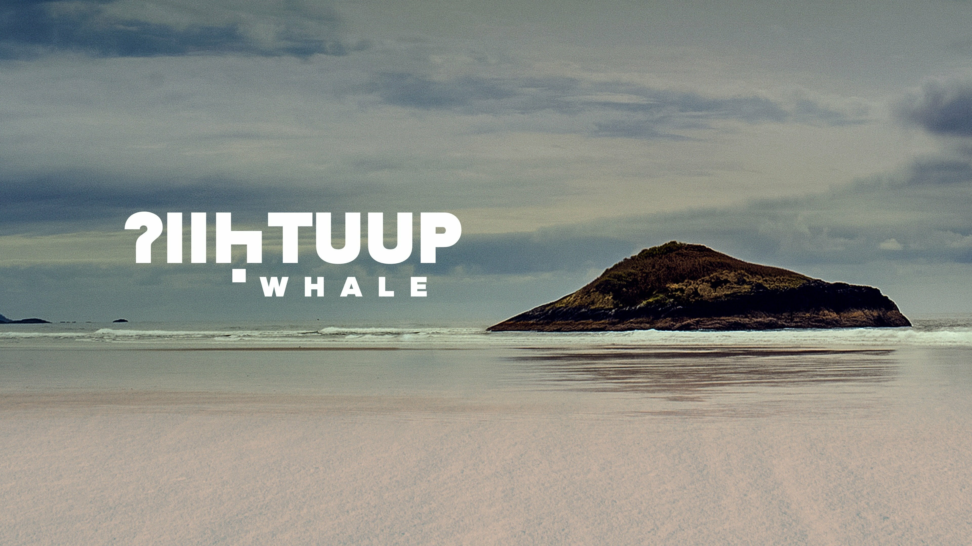 Whale