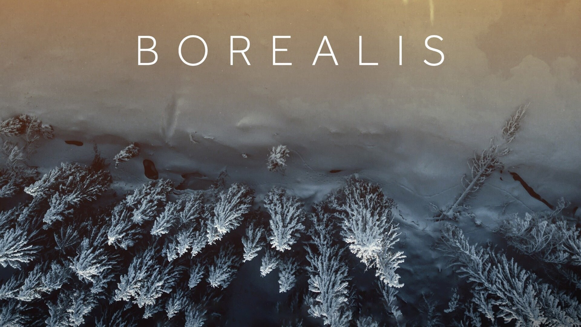 Borealis