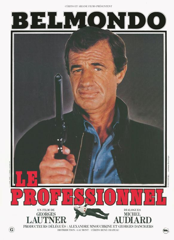LE PROFESSIONNEL