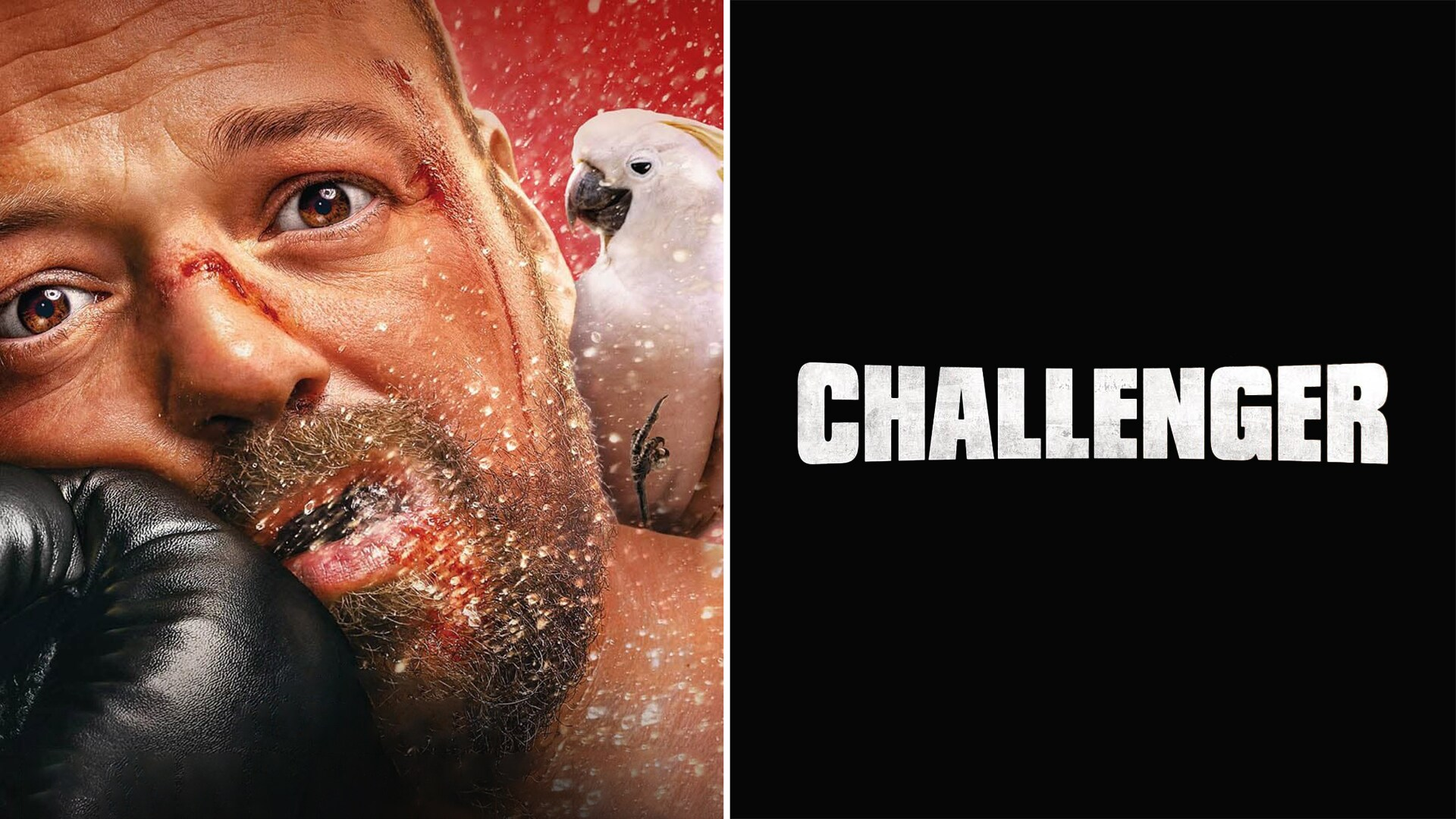 Challenger