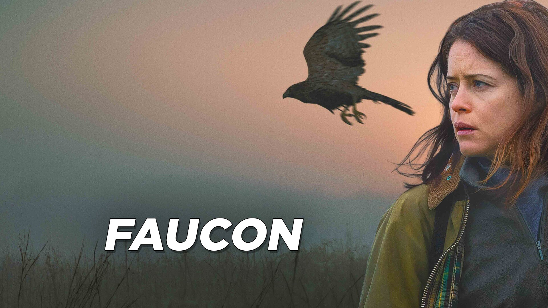Faucon