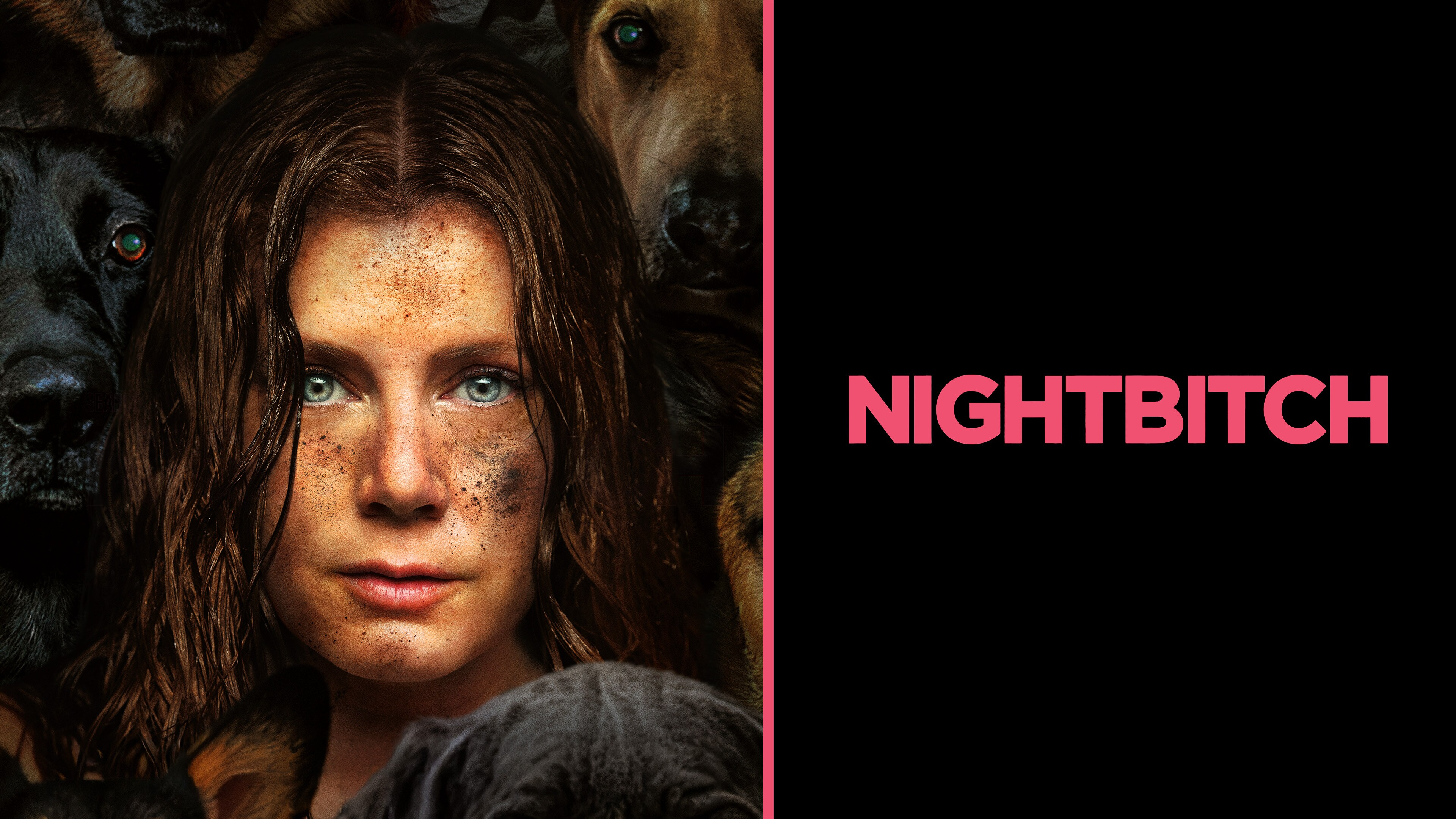 Nightbitch