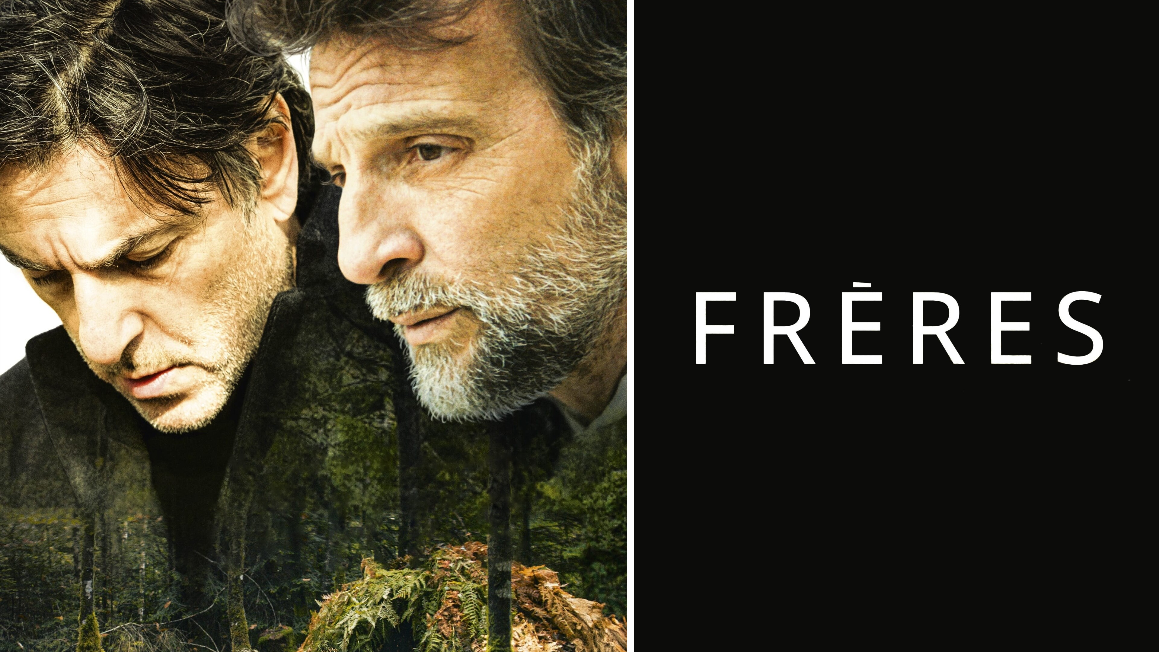 Frères