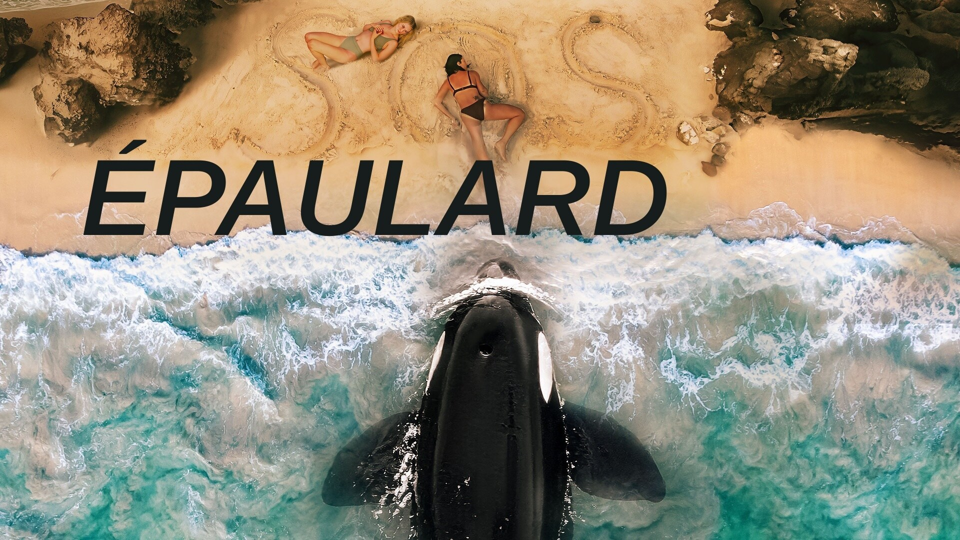 Épaulard