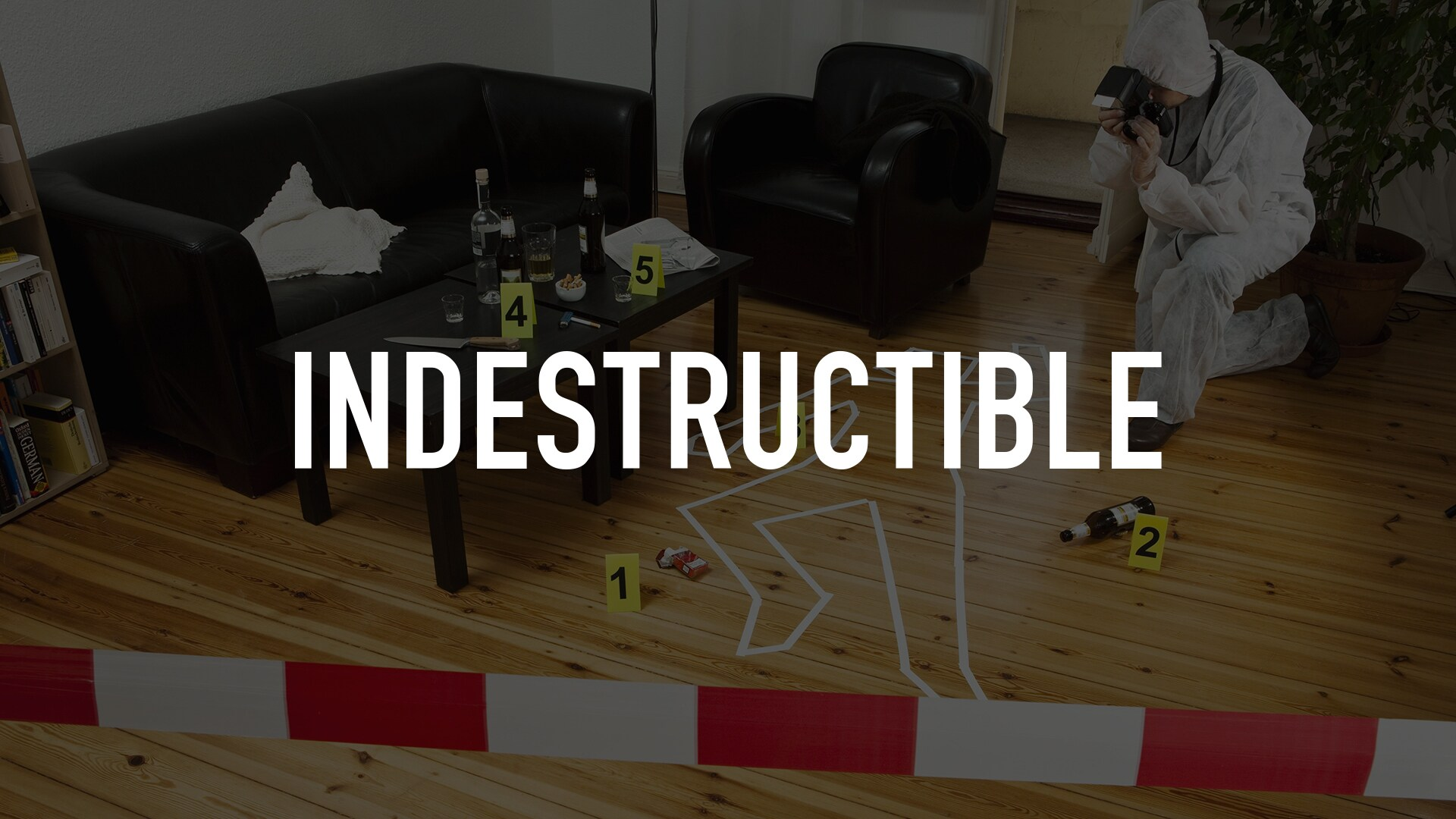 Indestructible