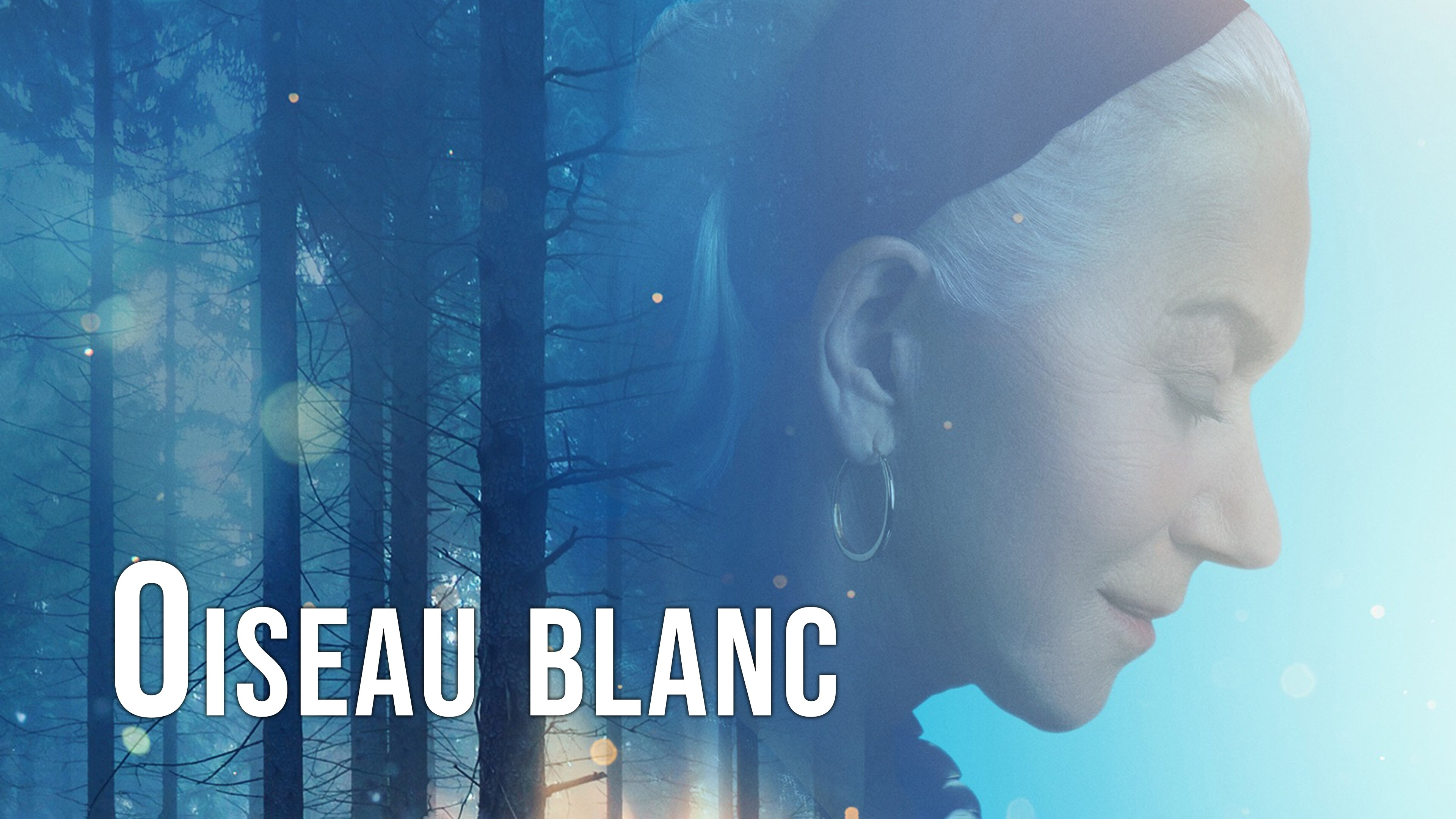 Oiseau blanc