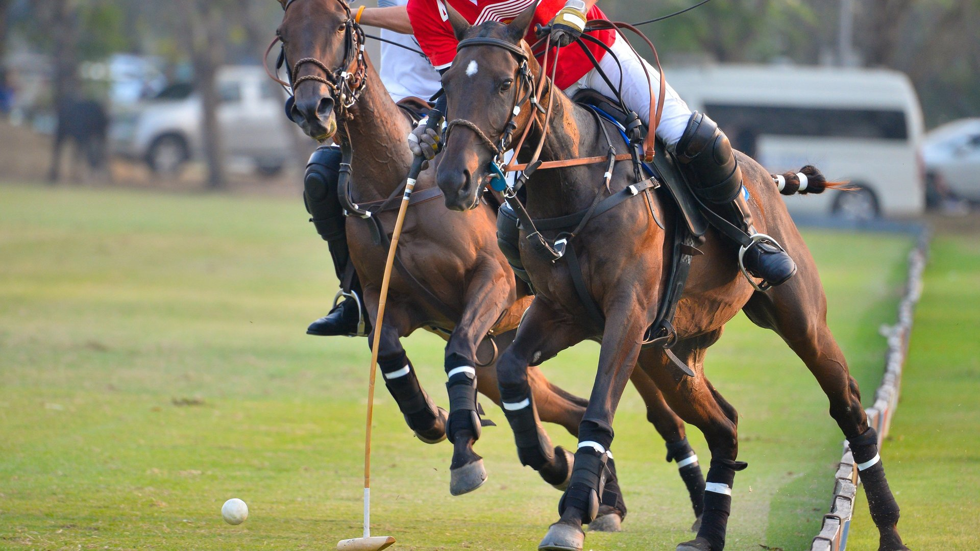 ESPN Polo