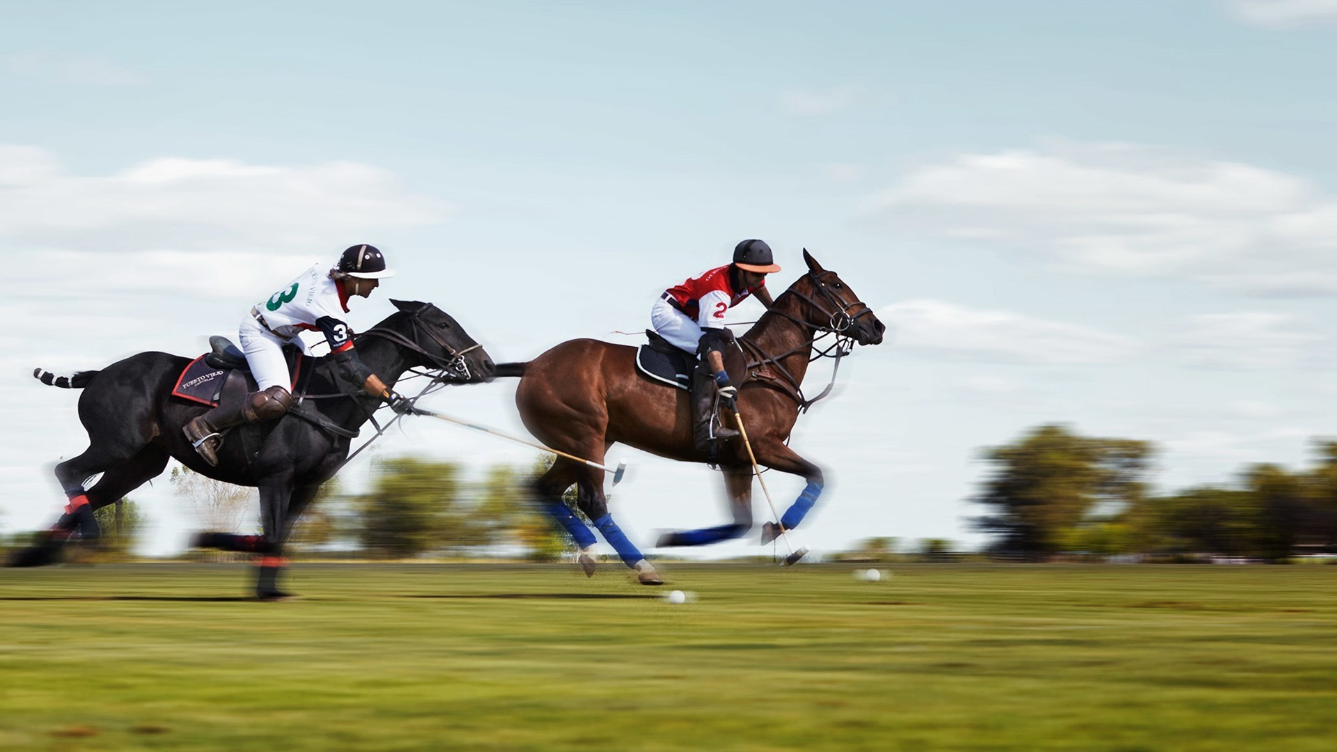 Polo