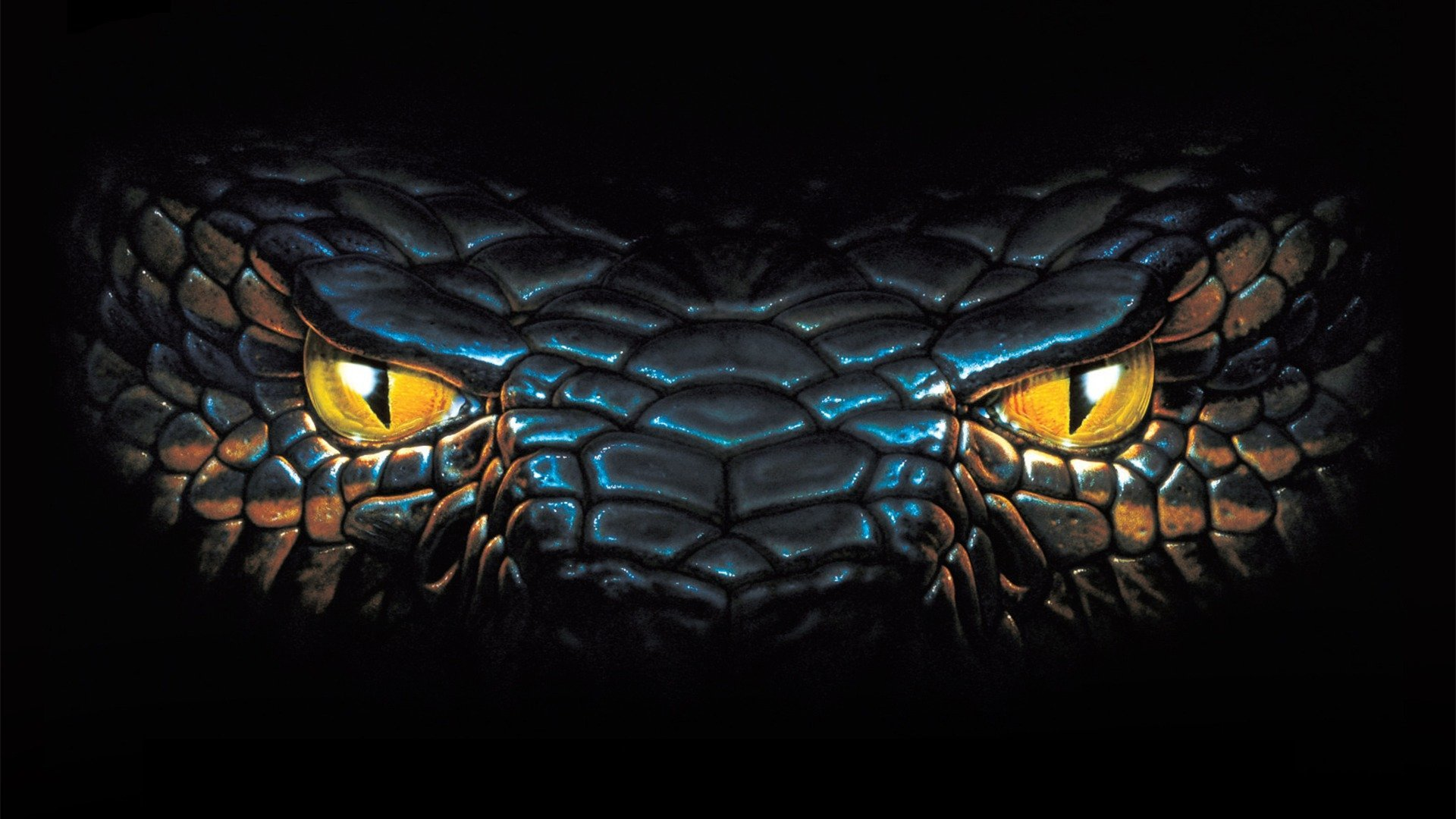 Anaconda
