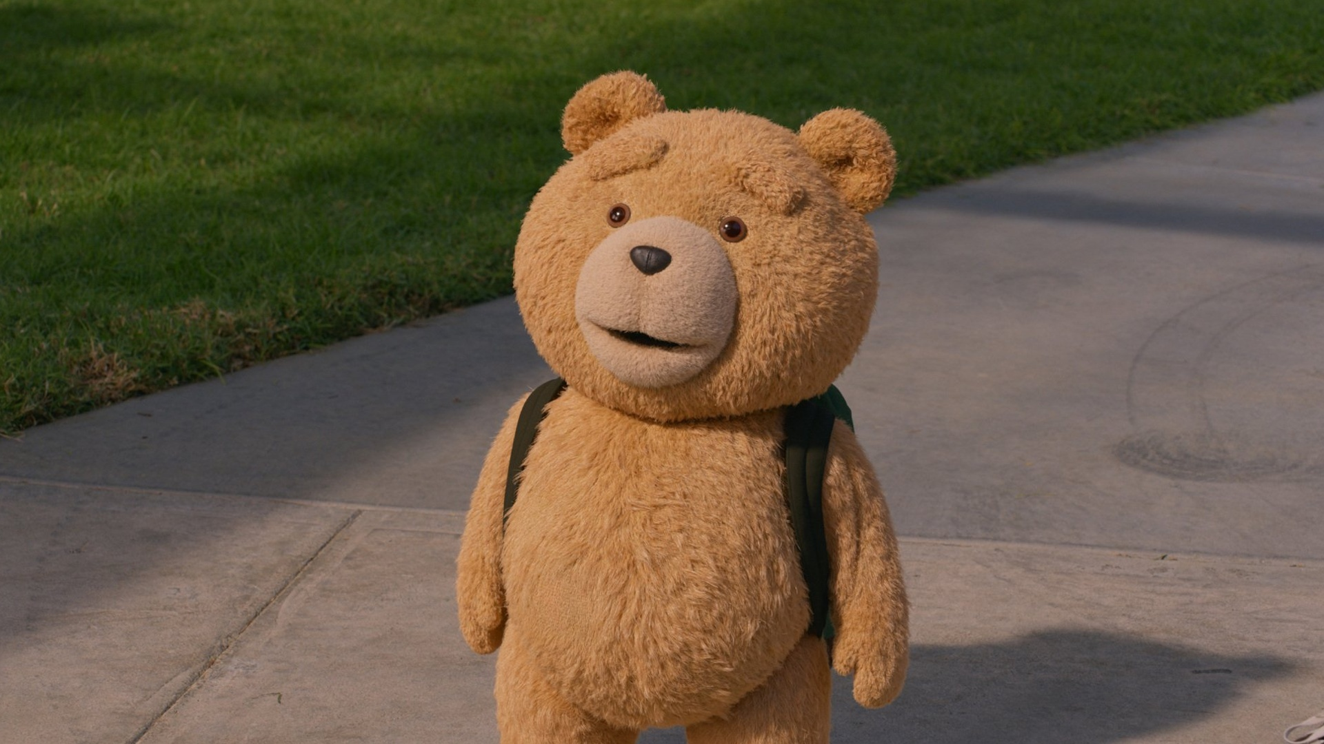 Ted