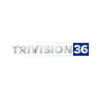TRIVISION 36