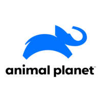 Animal Planet