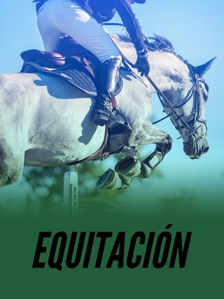 Equitación