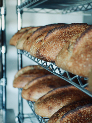 World Eats Bread