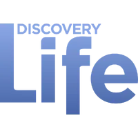 Discovery Life