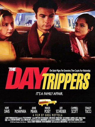 The Daytrippers