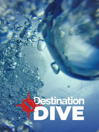Destination Dive