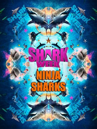 Ninja Sharks