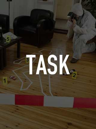 Task