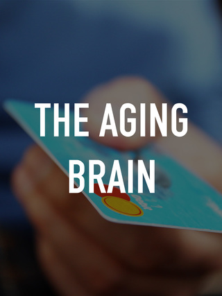 The Aging Brain
