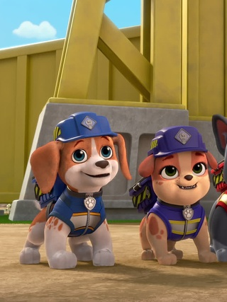Rubble & Crew