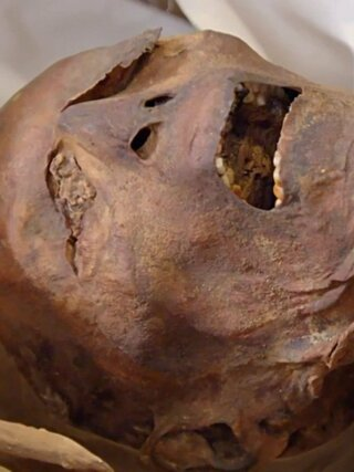 Mummy Unexplained Files