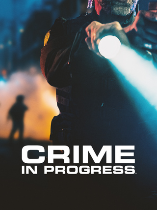 Crime in Progress
