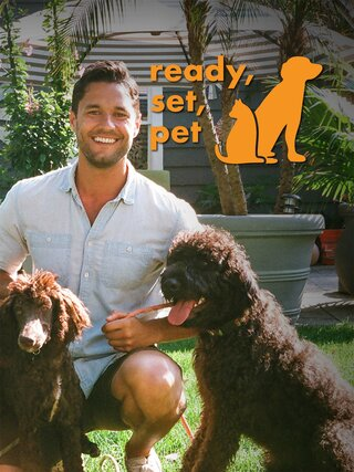 Ready, Set, Pet