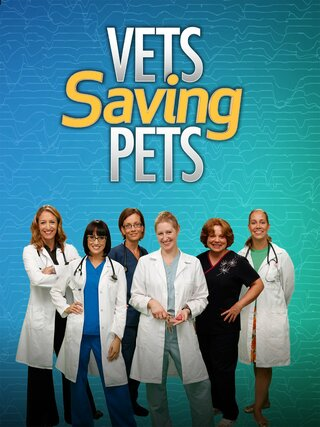Vets Saving Pets