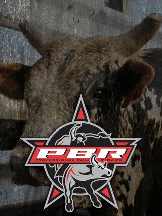 PBR Bull Riding